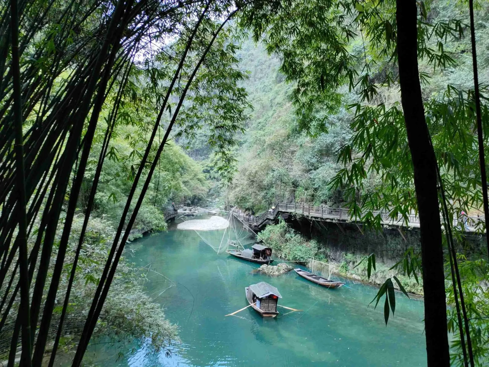 三峡人家 · 竹林步道